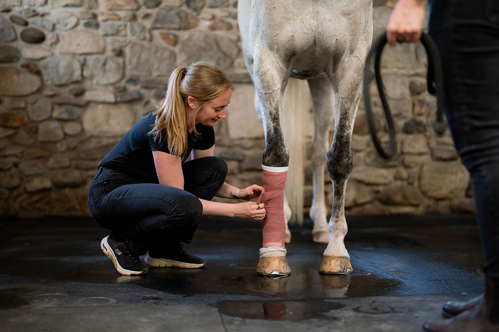 Equine Emergency Vet Care Ambulatory Services Manning Equine Vet Services serving Erin, Halton Hills, Georgetown, Orangeville, Caledon, Rockwood and Southern Ontario areas.