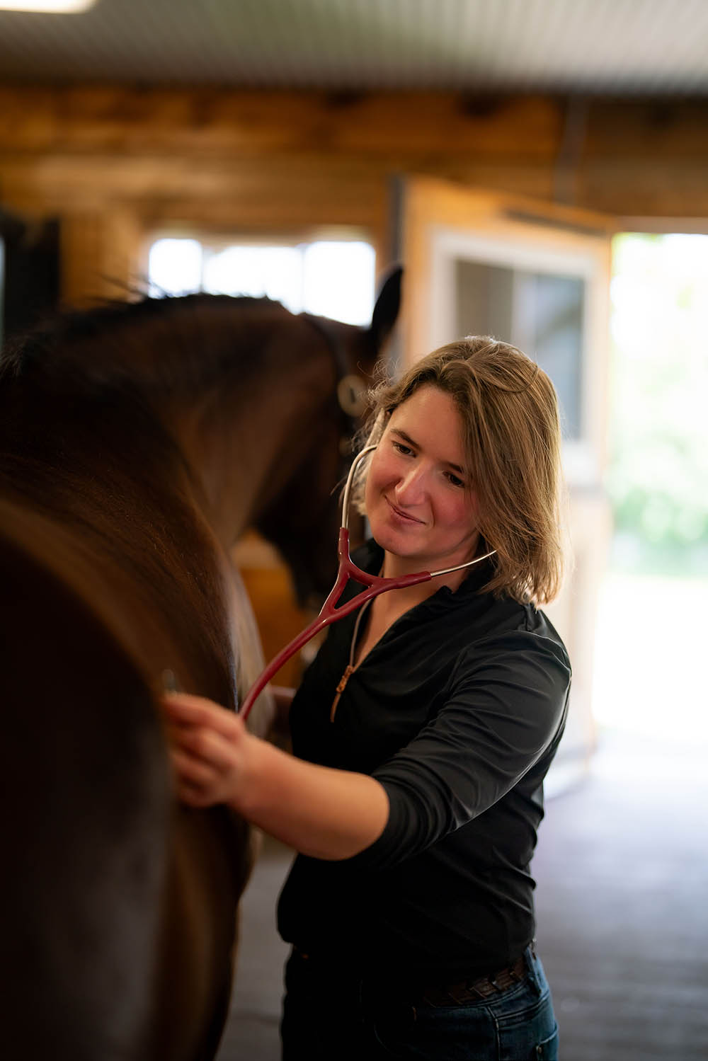 Equine Health Management, Vaccinations, Deworming Manning Equine Vet Services serving Erin, Halton Hills, Georgetown, Orangeville, Caledon, Rockwood and Southern Ontario areas.