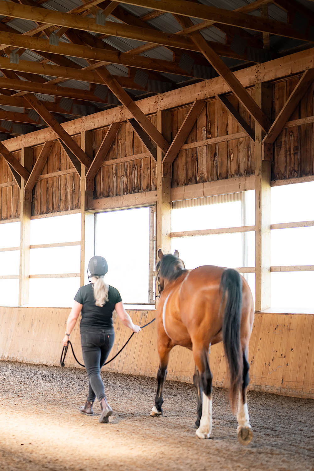 Performance horse rehabilitation Manning Equine Vet Services serving Erin, Halton Hills, Georgetown, Orangeville, Caledon, Rockwood and Southern Ontario areas.